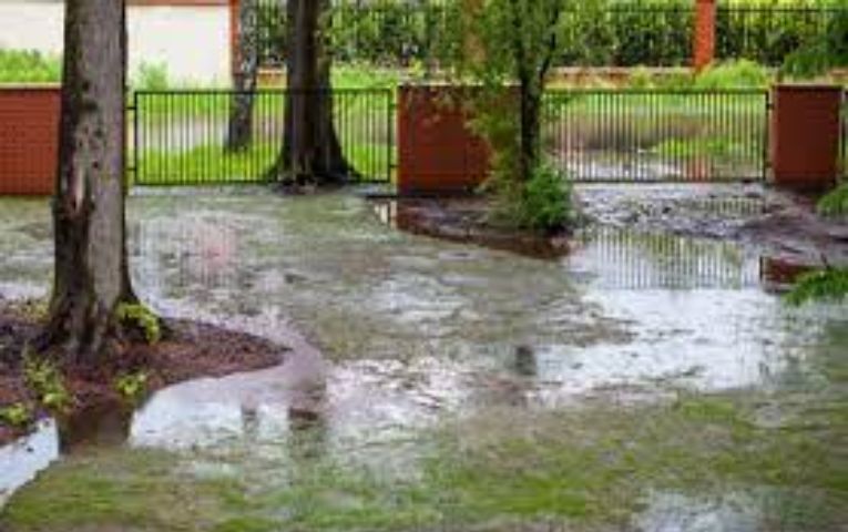 how to fix standing water in yard