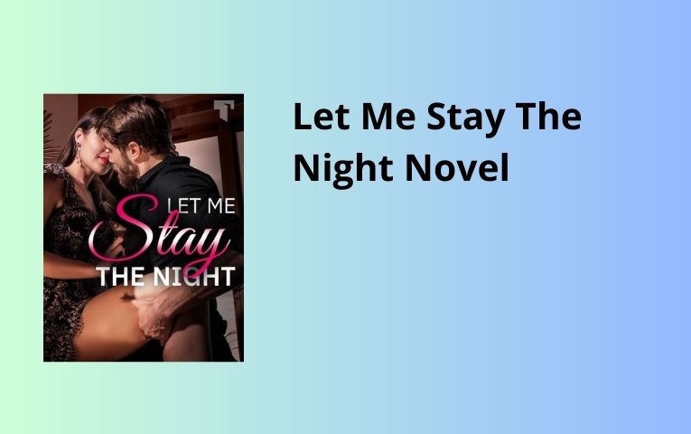 Let Me Stay The Night Novel